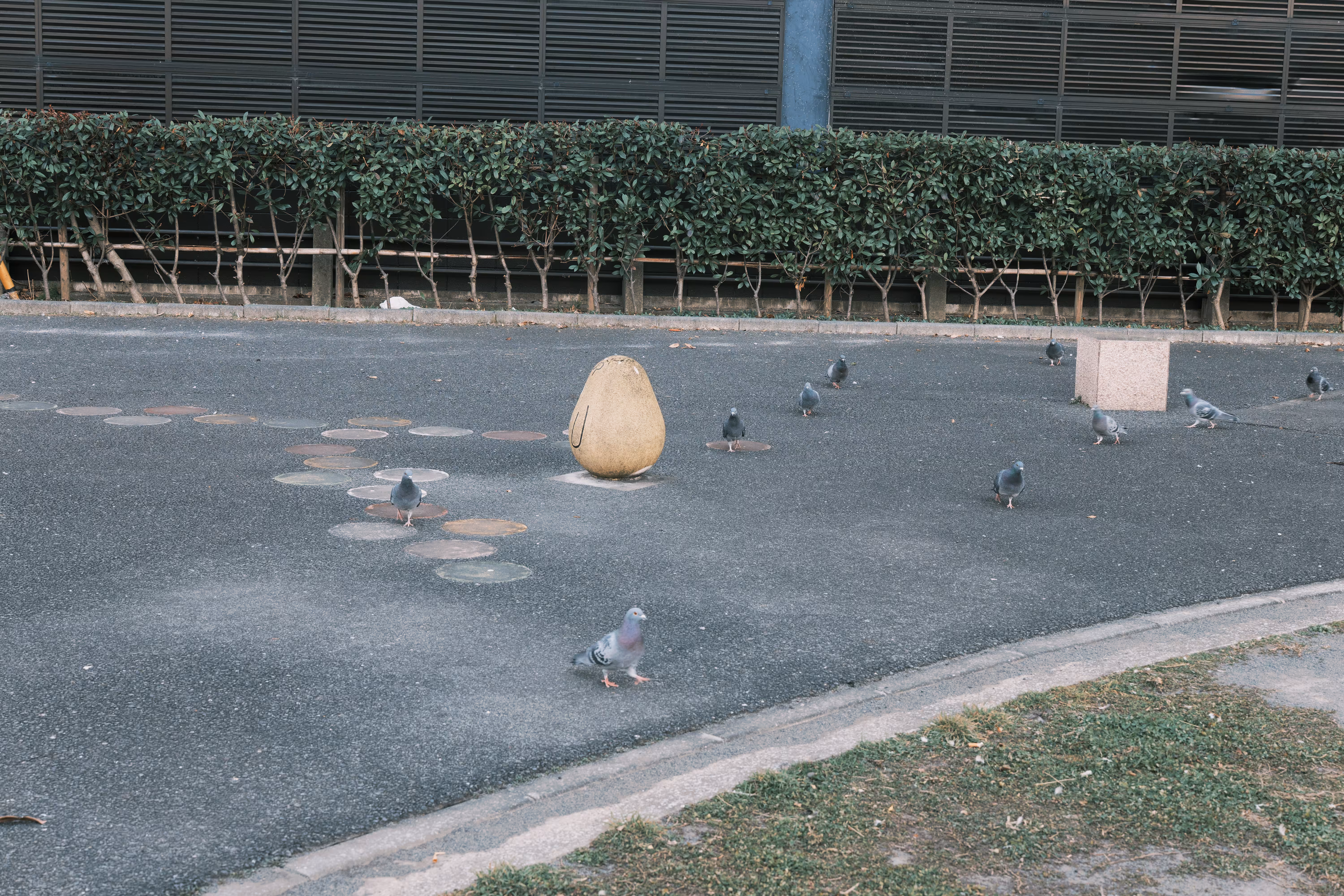 LUT A and LUT B applied (Classic Negative)